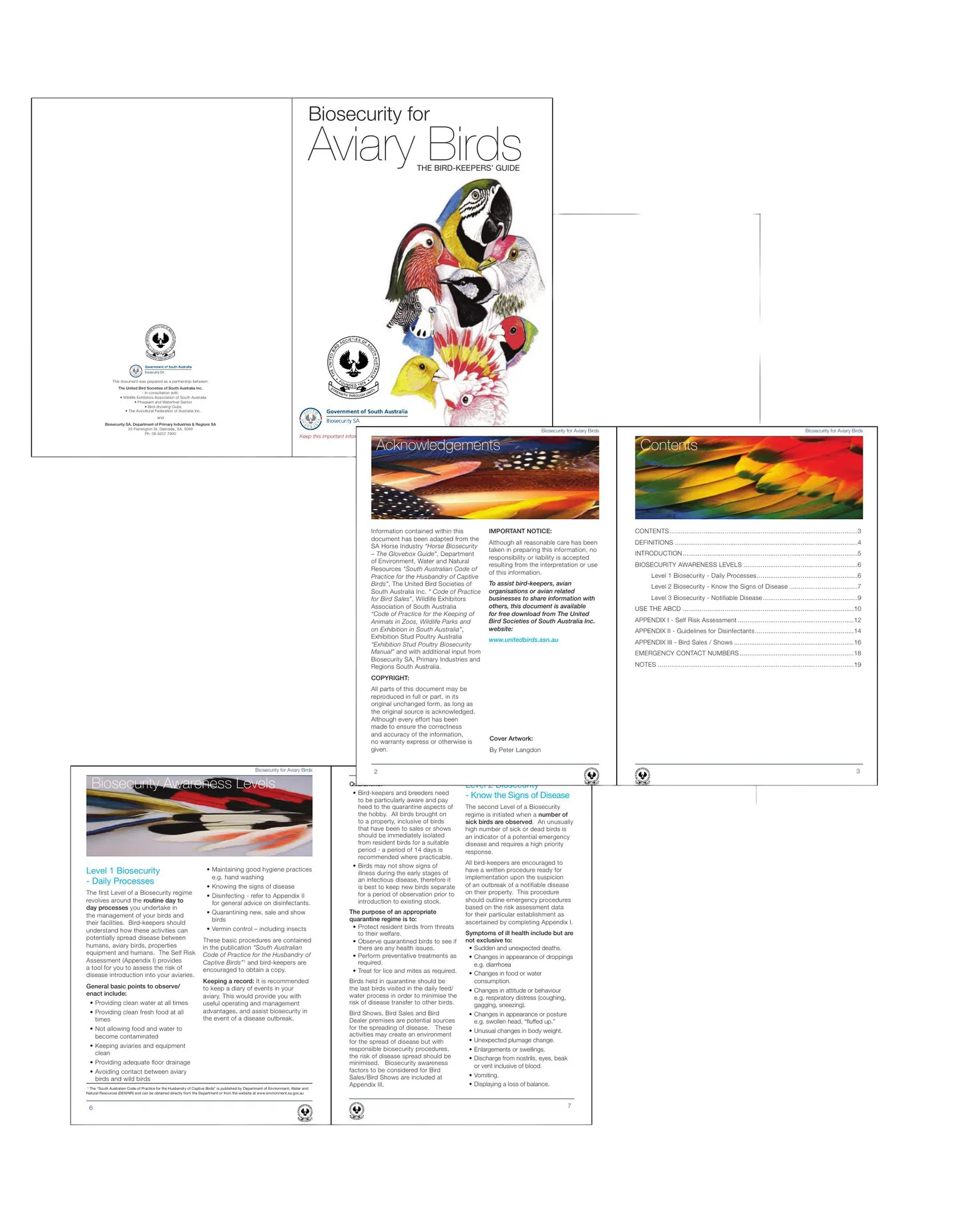 Biosecurity for Aviary Birds design work